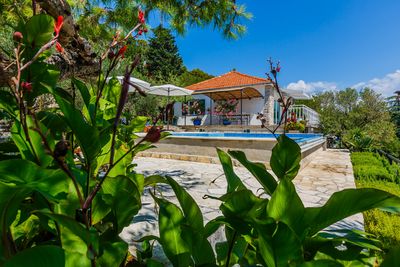 Croatian Holiday House with Pool Tisno
