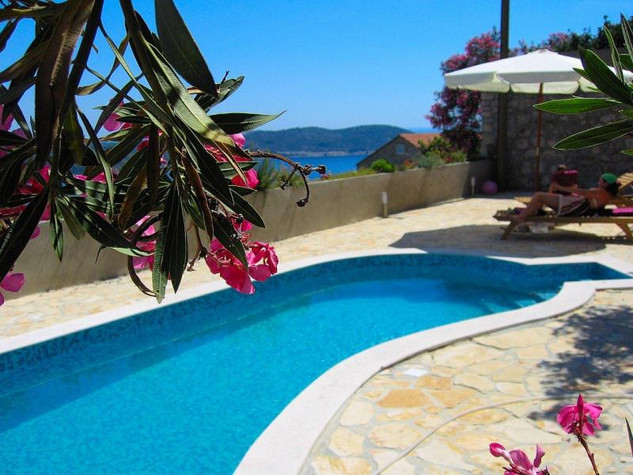 Croatia villa with pool Orasac