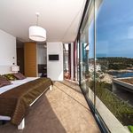 Fascinanting villa near sea in Primosten