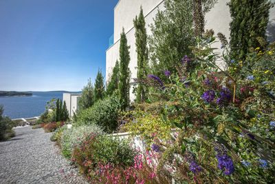 Primosten Luxury villa with pool on Croatian Coast