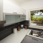 Beautiful 11 Person Beachfront House in Korcula Island
