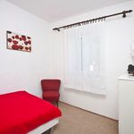 Charming House with Pool for 7 Persons in Okrug Gornji, Island Ciovo
