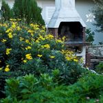 Charming House with Pool for 7 Persons in Okrug Gornji, Island Ciovo