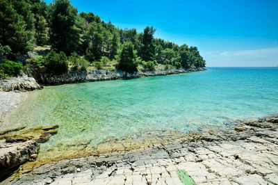 Brac Seaside House with Sea Water Swimming Pool