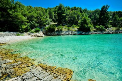Brac Seaside House with Sea Water Swimming Pool