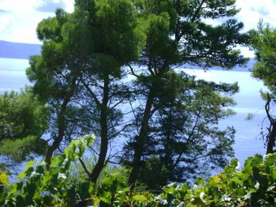 Beautiful 3 Bedroom Holiday House near the Beach in Sumartin, Brac island