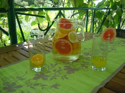 Beautiful 3 Bedroom Holiday House near the Beach in Sumartin, Brac island