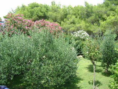 Beautiful 3 Bedroom Holiday House near the Beach in Sumartin, Brac island