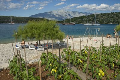 Adorable Dalmatian Beachfront House in Secluded Bay in Brac Island