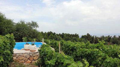 Lovely House with Pool above Famous Beach Zlatni Rat Bol; Brac Island