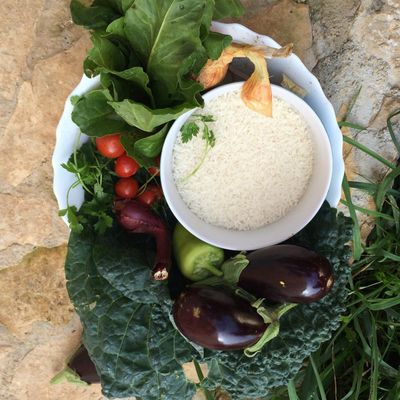 Yoga Retreat Croatia 2015