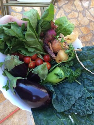 Yoga Retreat Croatia 2015