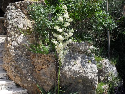 Seaview Stone House with Beautiful terrace; Riviera Omis