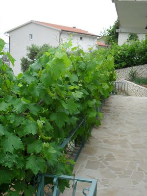 Sea View Stone House with Beautiful terrace; Riviera Omis