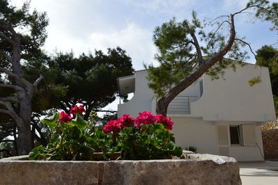 Beach House with pool Nemira, Omis Rivera
