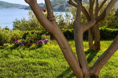 Attractive Villa with Beautiful Garden, Pool and Marvelous Sea View near Rogoznica