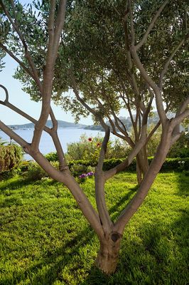 Attractive Villa with Beautiful Garden, Pool and Marvelous Sea View near Rogoznica