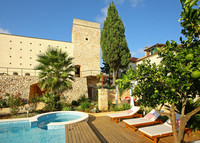 Luxury Rustic Villa with Swimming Pool in Vis Island