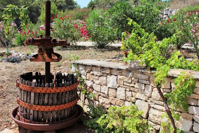 Luxury Rustic Villa with Swimming Pool in Vis Island