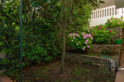 Charming Sea View Holiday Villa with Pool in Mastrinka; Ciovo