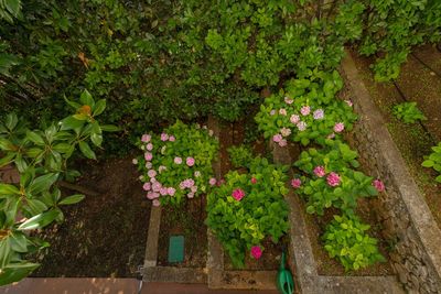 Charming Sea View Holiday Villa with Pool in Mastrinka; Ciovo
