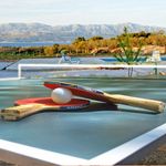 Delightful Holiday House with Pool in Mirca; Island Brac