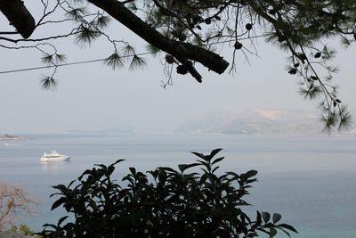 Beautiful Seaside Holiday House in Cavtat, near Dubrovnik