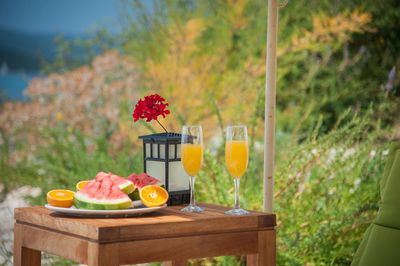 Luxury Beach Villa with Pool in Orebic Peninsula Peljesac