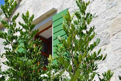 Dalmatia Stone Villas With Pool 