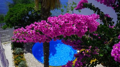 Beachfront Villa with Pool for 9 People in Orebic