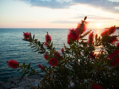 Luxury Villa with Pool and Private Beach in Bilo, Primosten