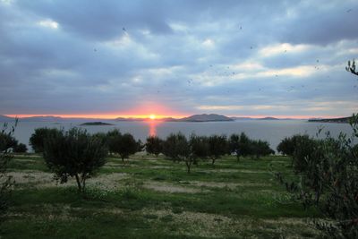 Zizanj Island Luxury Villa With Private Beach and Pool