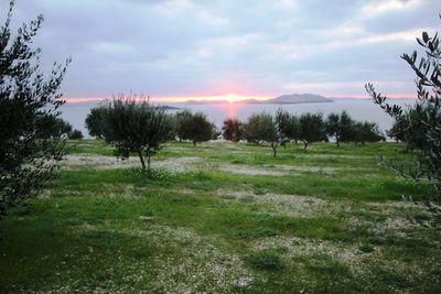 Zizanj Island Luxury Villa With Private Beach and Pool