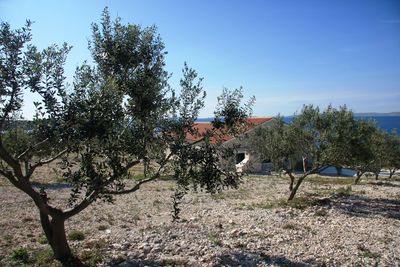 Zizanj Island Luxury Villa With Private Beach and Pool