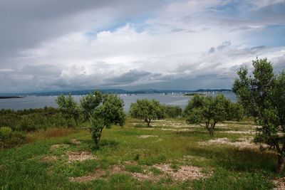 Zizanj Island Luxury Villa With Private Beach and Pool