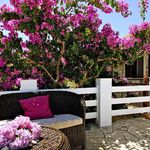 Island Brac Sea View Holiday House with Amazing Garden and Terrace