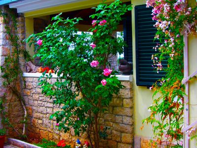 Charming 2 Bedroom Seafront House with Pool Island Brac