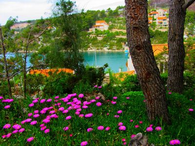 Charming 2 Bedroom Seafront House with Pool Island Brac