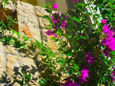 Charming 2 Bedroom Seafront House with Pool Island Brac