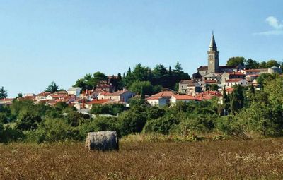 Charming Authentic House with Pool in Central Istria 