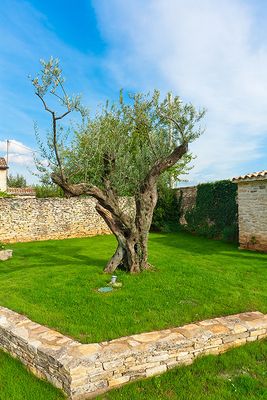 Central Istria Traditional Villa with Swimming Pool and Beautiful Large Garden