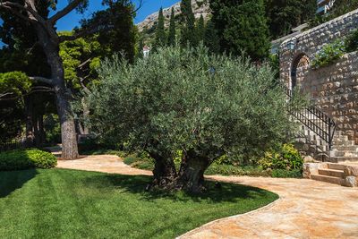 Spectacular Seafront Exclusive Villa Dubrovnik