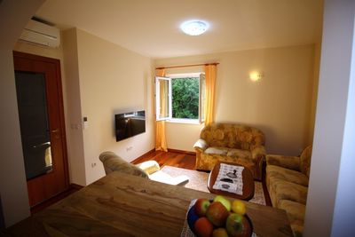 Vacation House with Pool and Attractive Garden Konavle