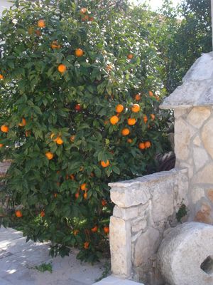 Stone Villa With Pool Near The Beach at Orebic, Peljesac