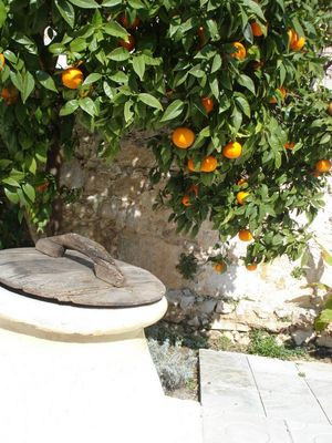 Stone Villa With Pool Near The Beach at Orebic, Peljesac
