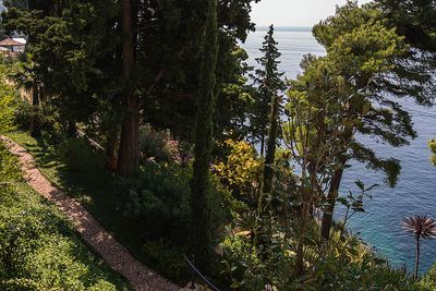 Spectacular Seafront Exclusive Villa Dubrovnik