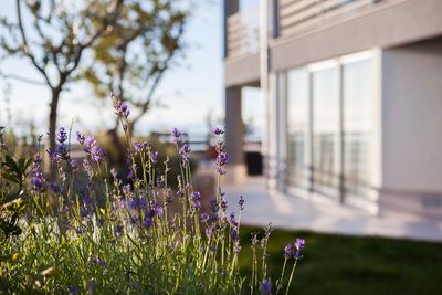 Elegant & Modern Villa With Swimming Pool in Dramalj, Crikvenica  Riviera