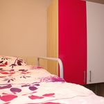 Stylish Luxury Villa Makarska