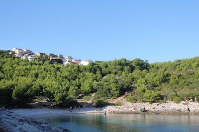 Information about  Vis Island