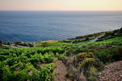 Information about Hvar Island